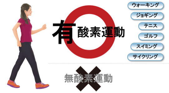 図:運動は無理をせず「続ける」ことが大切です。無酸素運動は一時的に血圧を上昇させるので要注意!